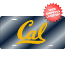 California (CAL) Golden Bears License Plate Laser Cut