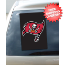 Tampa Bay Buccaneers Car Window Flag <B>BLOWOUT SALE</B>