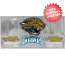 Jacksonville Jaguars License Plate 3D