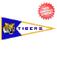 LSU Tigers NCAA Pennant Wool