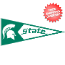 Michigan State Spartans NCAA Pennant Wool