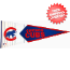 Chicago Cubs MLB Pennant Wool