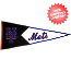 New York Mets MLB Pennant Wool