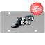 Tampa Bay Rays Logo License Plate