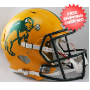 Most Popular Full Size Helmet