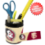 Florida State Seminoles Small Desk Caddy