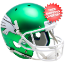 North Texas Mean Green Full XP Replica Football Helmet Schutt <B>Satin Green</B>