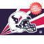 Houston Texans Helmet Flag <B>BLOWOUT SALE</B>