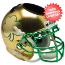 Notre Dame Fighting Irish Miniature Football Helmet Desk Caddy <B>Textured with Shamrock</B>