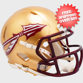 Florida State Seminoles NCAA Mini Speed Football Helmet <B>Metallic Paint</B>