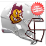Most Popular Mini Helmets