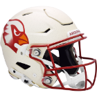 Most Popular Full Size Helmet