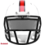 Hall of Fame HOF Mini Speed Football Helmet NFL