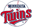 Minnesota Twins